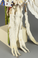 Nez%20Perce%20artist%2C%20%3Cb%3E%3Ci%3E%20Headdress%3C%2Fi%3E%3C%2Fb%3E%2C%20ca.%201885%2C%20ermine%2C%20felt%2C%20and%20feathers%2C%20The%20Elizabeth%20Cole%20Butler%20Collection%2C%20no%20known%20copyright%20restrictions%2C%2085.113.8